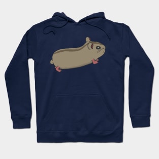 Running Hamster Hoodie